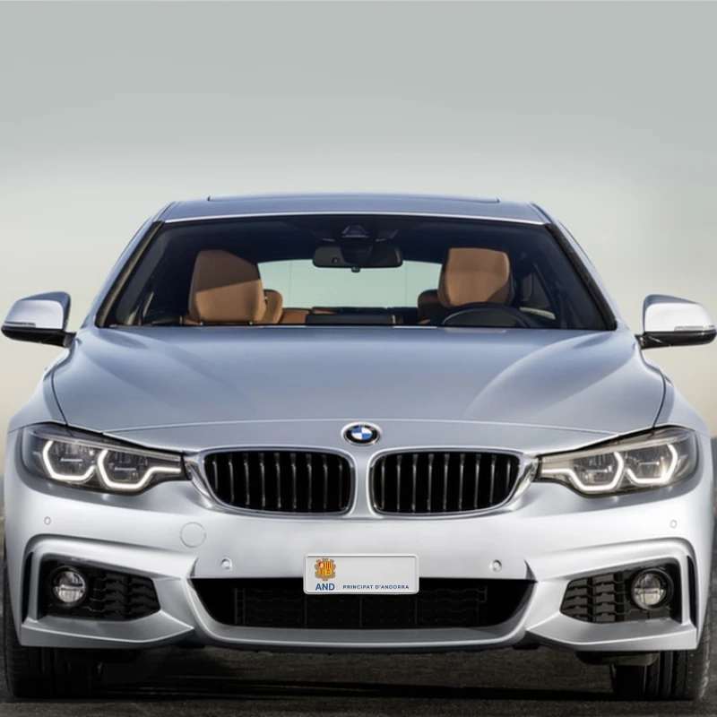 BMW 4-Series (2014-2020)
