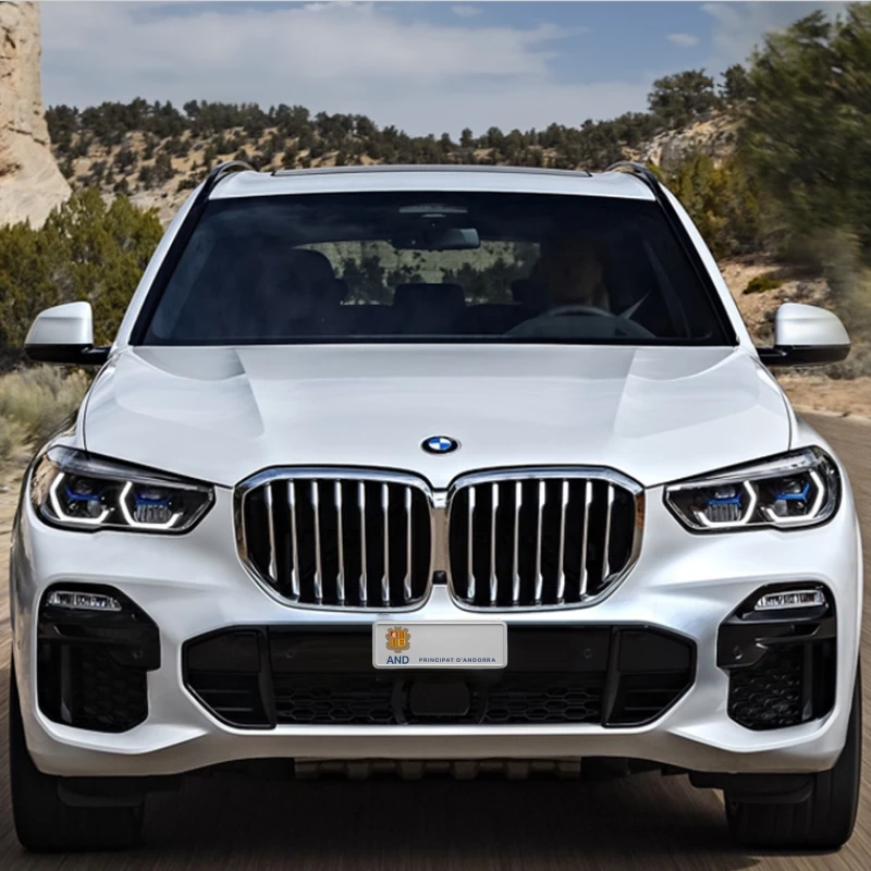 BMW X5 (2013-2023)