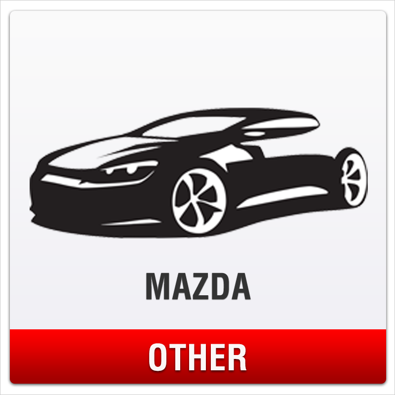 Mazda   Soporte de matrícula sin perforaciones para otros modelos
